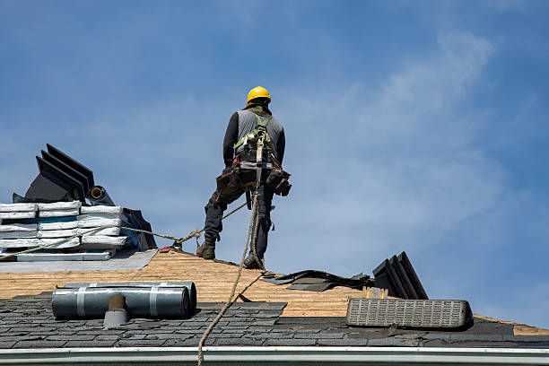 Professional Roofing technician working in Thief River Falls, MN